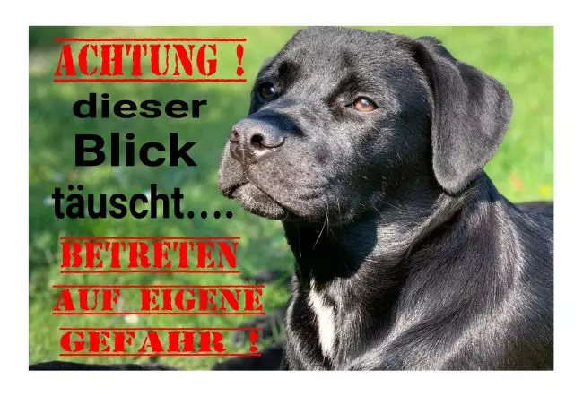 WarnschildWarnung - Zutritt verboten Achtung Hund Bild