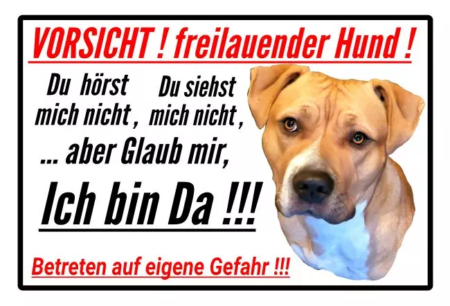 WarnschildWarnung - Zutritt verboten Betreten auf eigene Gefahr Bild