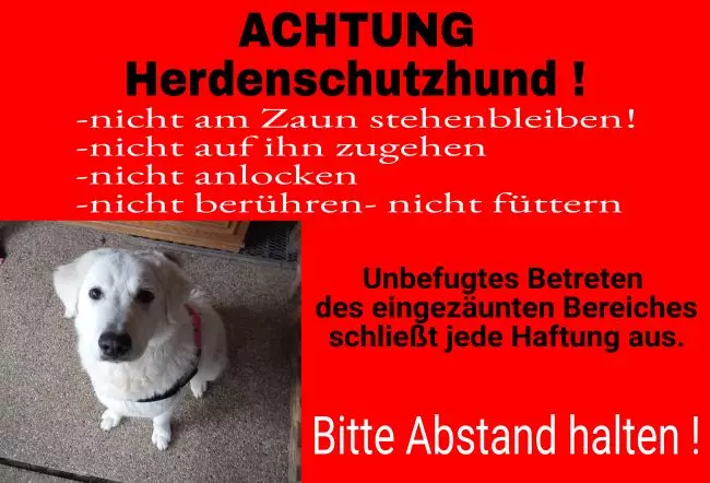 WarnschildWarnung - Zutritt verboten Herdenschutzhund Bild