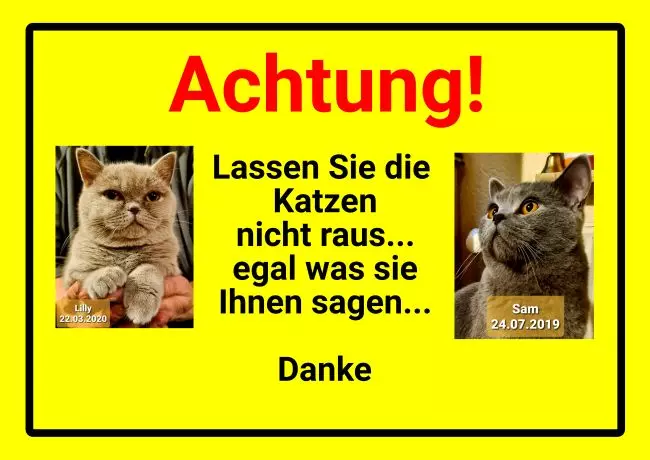 WarnschildWarnung - Zutritt verboten Katzen Bild