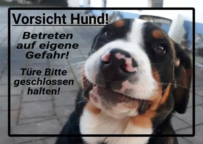 WarnschildWarnung - Zutritt verboten Vorsicht Hund Bild
